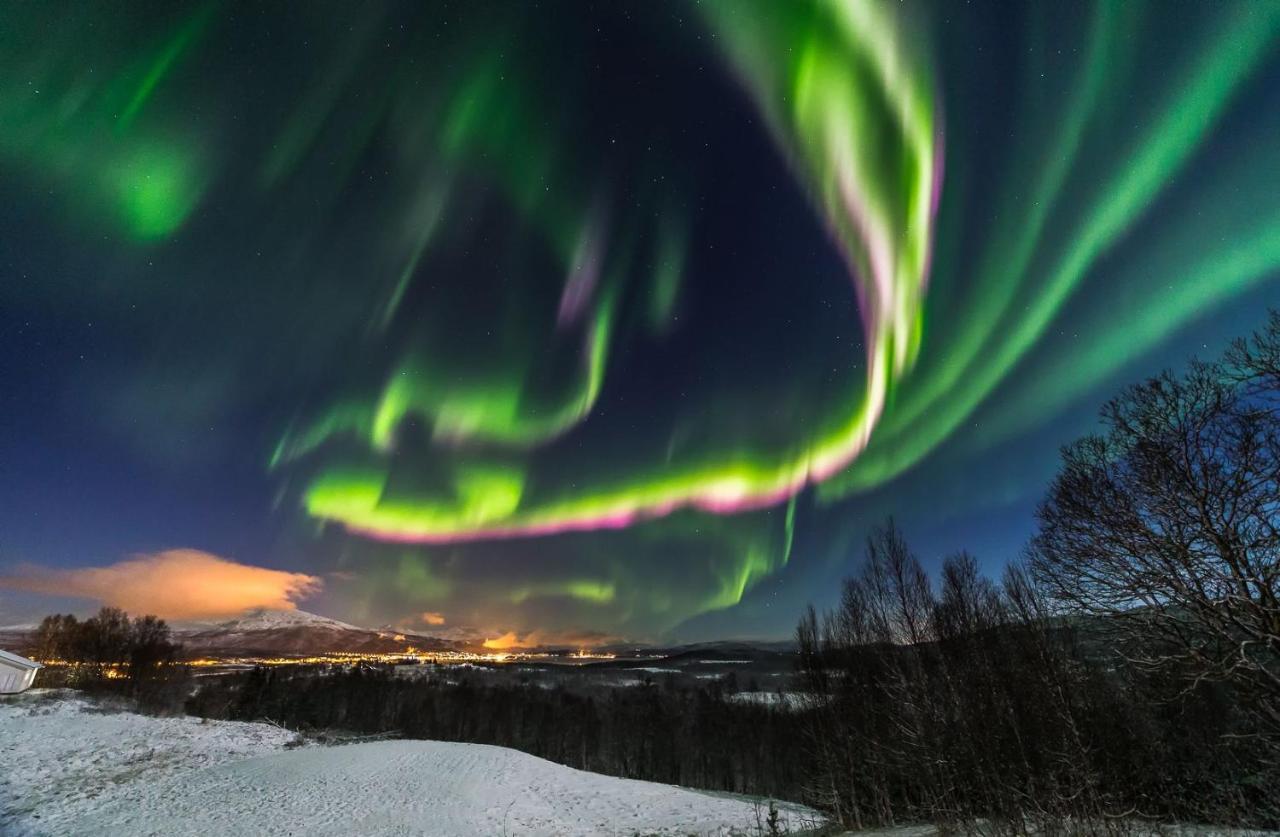 Aurora Borealis Observatory Silsand Ngoại thất bức ảnh